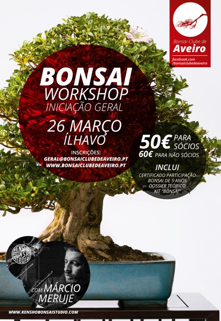 Workshop de Iniciação à Arte Bonsai