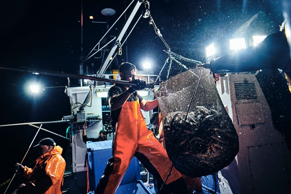 Exposição fotográfica "Sardinha, o sem fim da pesca do cerco"