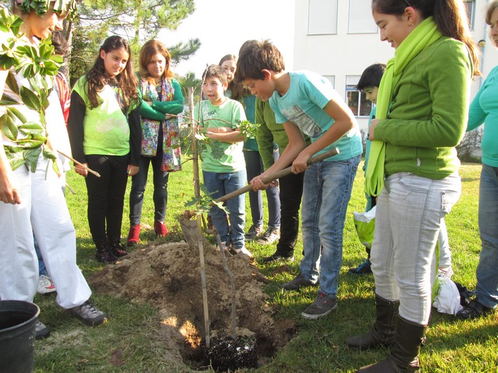 GLOBAL ACTION DAYS - Dias Internacionais Eco-Escolas