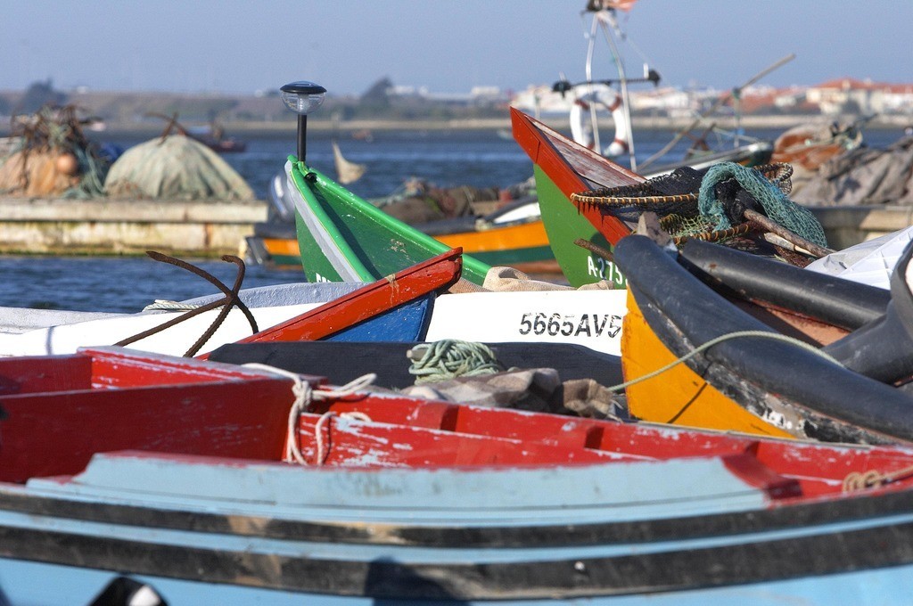 “Sentidos de Mar” transportam o Museu Marítimo de Ílhavo para fora de portas