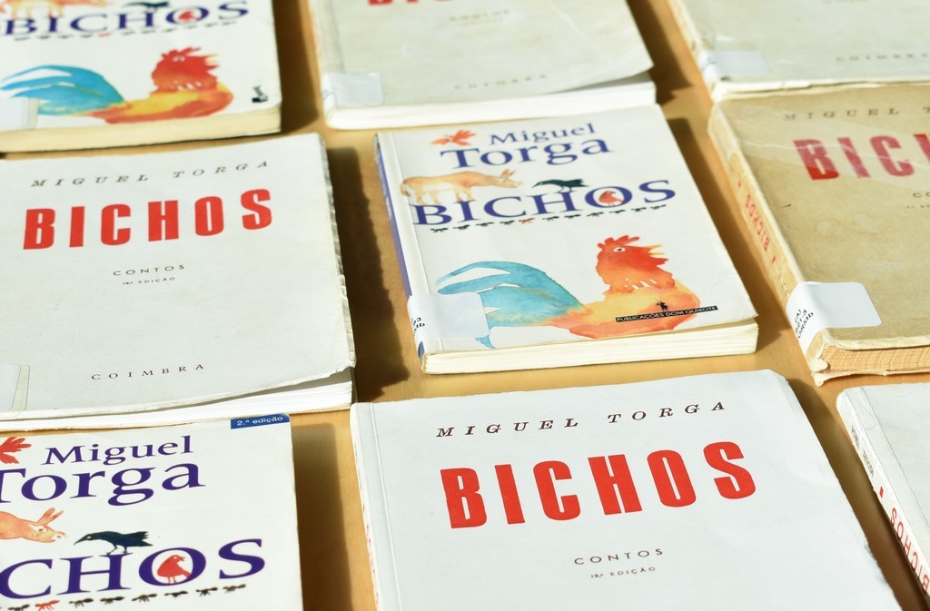 Sétima Sessão da Comunidade de Leitores dedicada ao livro “Bichos”, de Miguel Torga