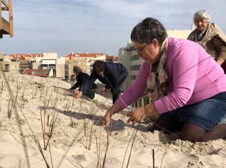 Comunidade Sénior participou na proteção do cordão dunar